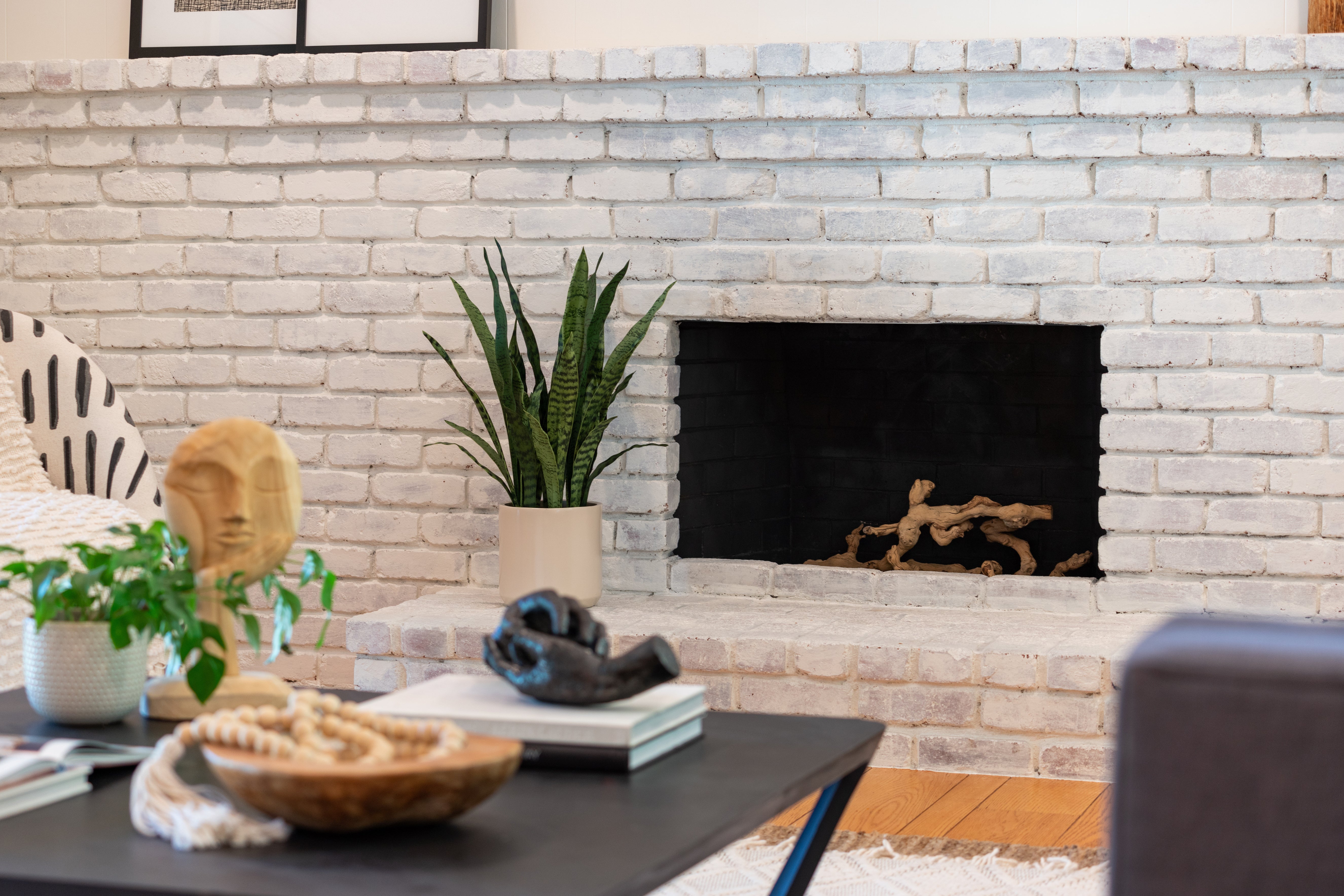 Living Room With Large Snake Plant In Pot