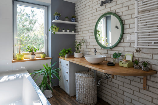 compact low light bathroom with houseplants scattered about 