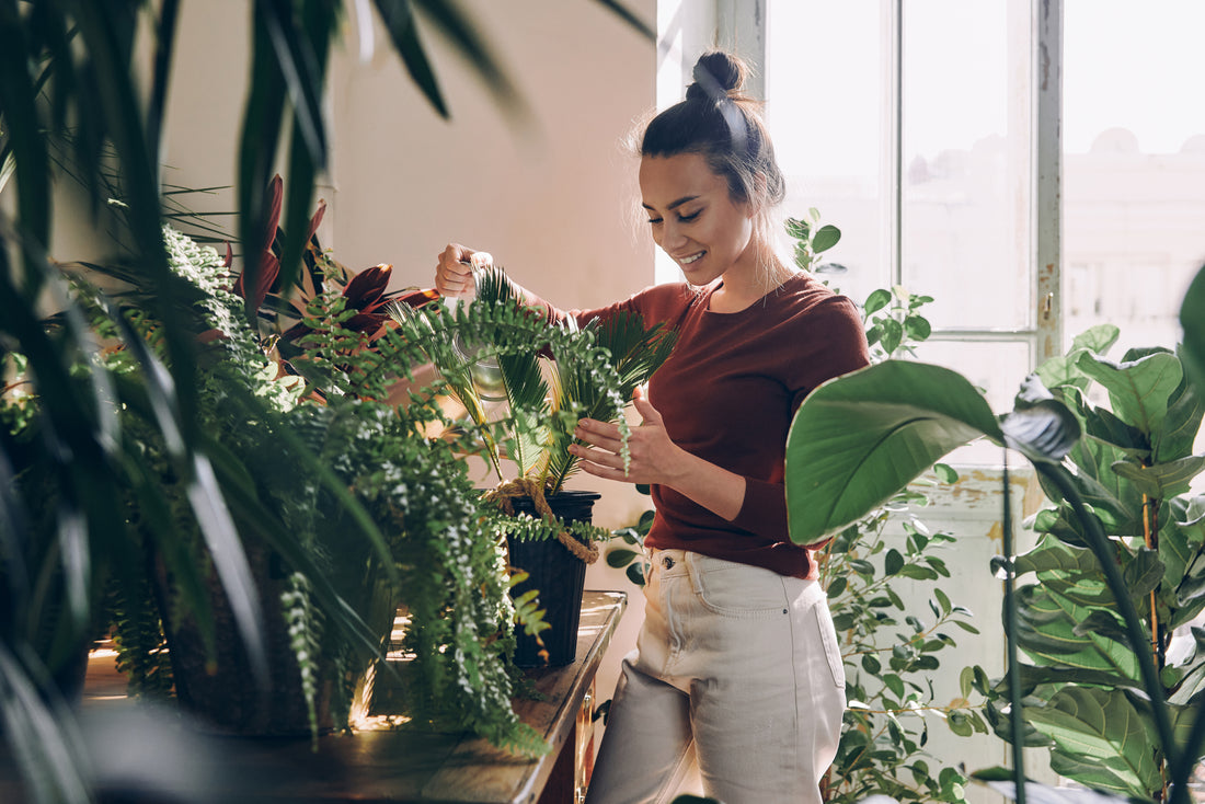Younger Woman Using Indoor Plant Accessories To Care For Her Houseplants