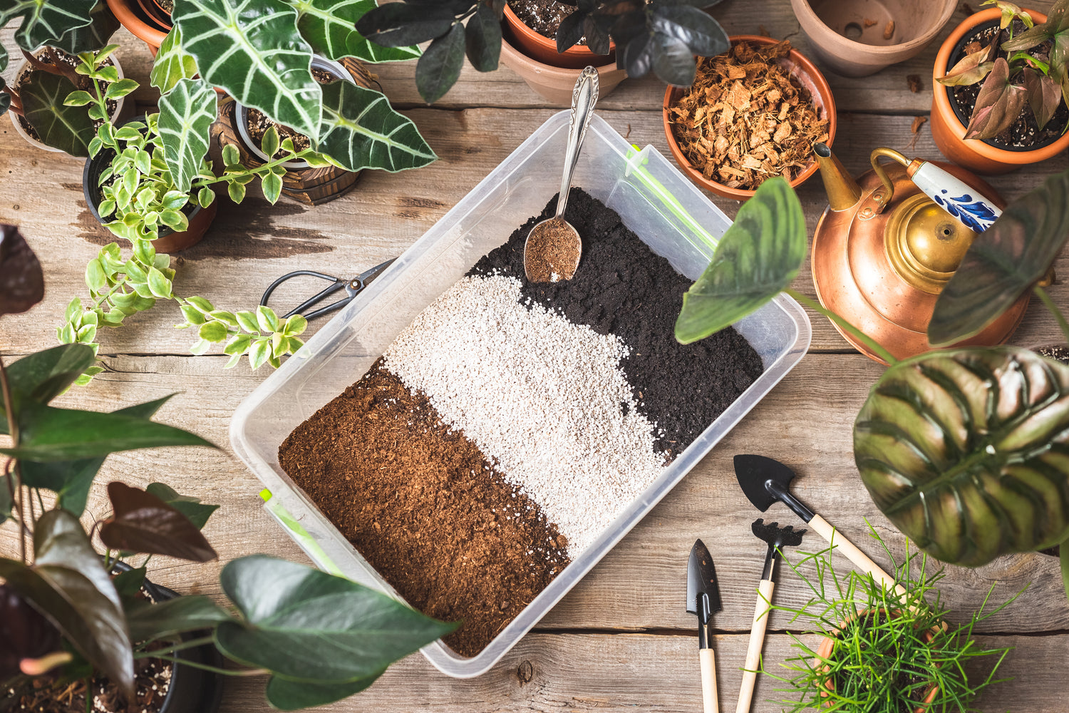 Houseplants Surrounding A Box Of Different Soil Components For An Indoor Potting Soil Mix