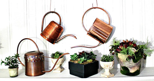 Several Bronze Watering Containers With Pots Of Planted Succulents