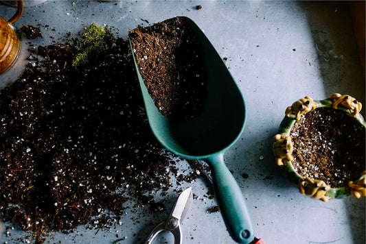 The Best DIY Succulent Potting Soil Recipe