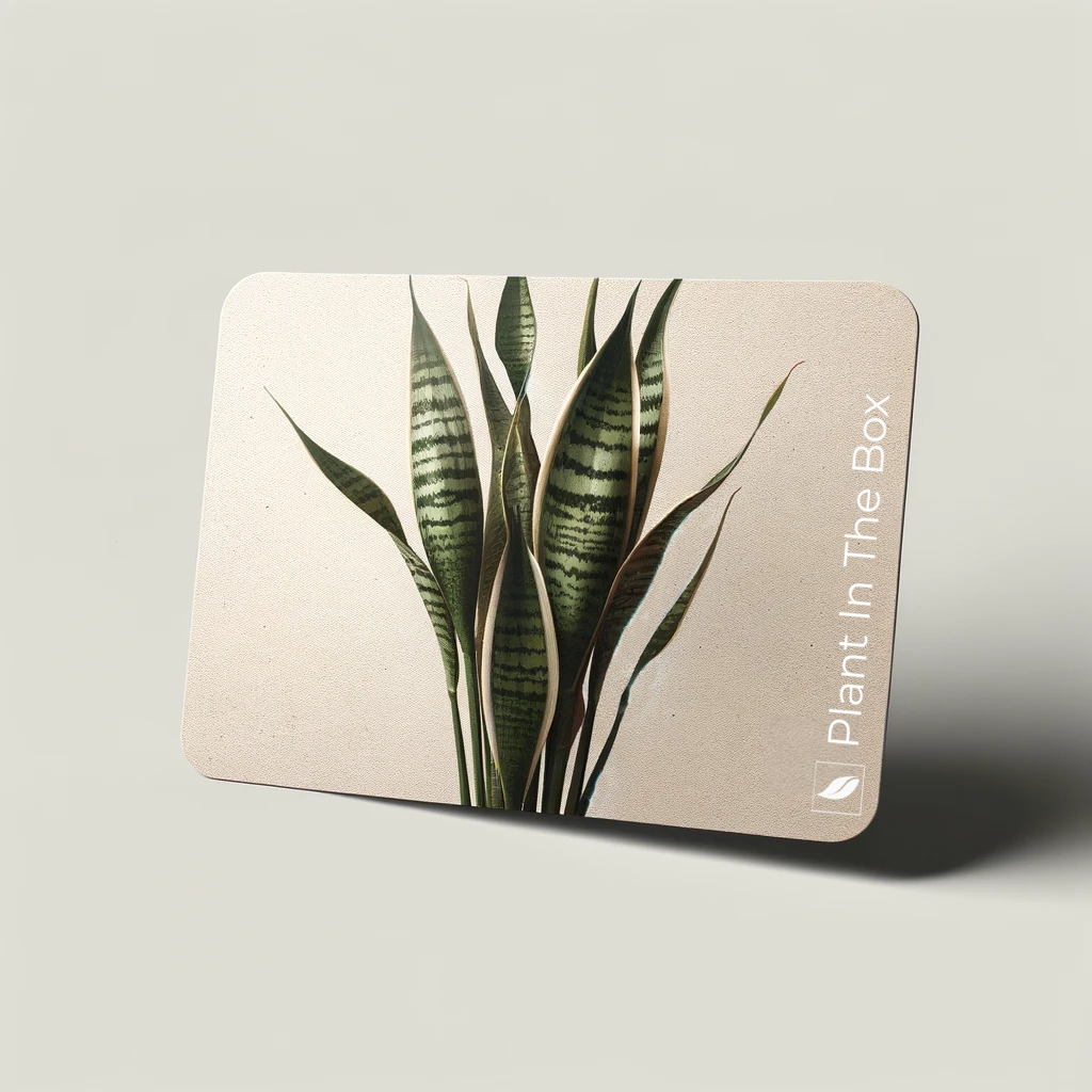 Plant In The Box Virtual Gift Card