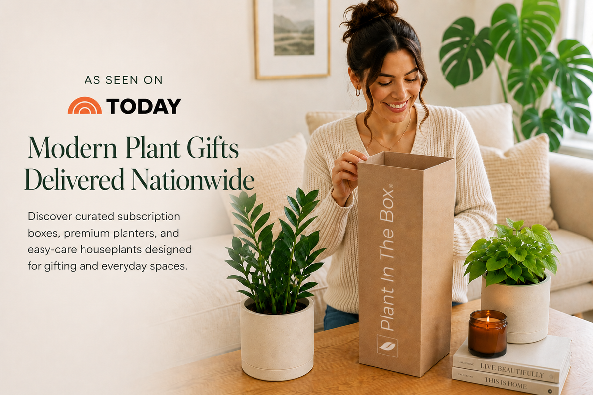 Send A Plant Gift Box | Plant In The Box®